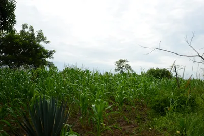 DSC_9358 (Large).JPG